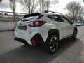 Subaru Crosstrek 2.0ie e-BOXER Platinum Schiebdach Alb - thumbnail 5