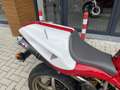 Ducati 748 S Monoposto Termignoni # riemen vervangen Rouge - thumbnail 7