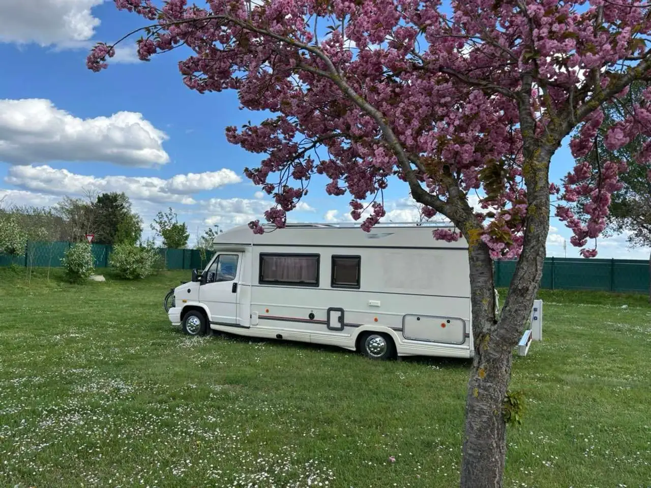 Fiat Ducato Bürstner T 620 Wohnmobil Camper, foto 6