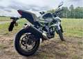 Kawasaki Z 125 - thumbnail 6