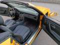 Mercedes-Benz SLK 230 KOMPRESSOR Giallo - thumbnail 9