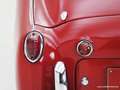 Triumph TR3 Small Mouth '57 CH787I Rouge - thumbnail 13
