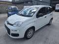 Fiat Panda 1.2 Pop s&s 69cv my19 - thumbnail 2