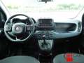 Fiat Panda Panda 1.0 FireFly S&S Hybrid Blau - thumbnail 10