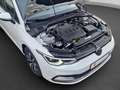Volkswagen Golf VIII 2.0 TDI DSG Move AHK Navi LED Kurvenlicht uvm Weiß - thumbnail 11