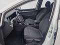Volkswagen Golf VIII 2.0 TDI DSG Move AHK Navi LED Kurvenlicht uvm Weiß - thumbnail 8