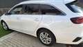 Kia Ceed SW / cee'd SW ceed SW 1,6 CRDi SCR ISG Silber Silber Weiß - thumbnail 3