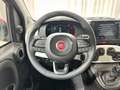 Fiat Panda Pandina 1.0 FireFly S&S Hybrid KM ZERO Rosso - thumbnail 11