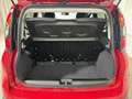 Fiat Panda Pandina 1.0 FireFly S&S Hybrid KM ZERO Rosso - thumbnail 14