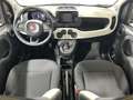 Fiat Panda Pandina 1.0 FireFly S&S Hybrid KM ZERO Rosso - thumbnail 12