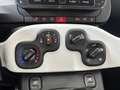 Fiat Panda Pandina 1.0 FireFly S&S Hybrid KM ZERO Rosso - thumbnail 23