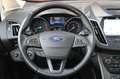 Ford C-Max 1.0 Titanium*AHK*SHZ*KAMERA*NAVI*PANO* Rot - thumbnail 19
