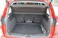 Ford C-Max 1.0 Titanium*AHK*SHZ*KAMERA*NAVI*PANO* Rot - thumbnail 14
