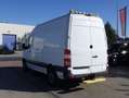 Mercedes-Benz Sprinter 316 (Stock ID 35129) Alb - thumbnail 5