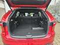 Mazda CX-80 3.3 e-SKYACTIV-D 254 Homura Plus ACC LED Rouge - thumbnail 12