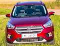 Ford Kuga Kuga 2,0 TDCi Titanium Powershift Aut. Titanium Rot - thumbnail 10