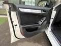 Audi A5 Sportback 2.0 TDI clean 190CV S line ed Blanco - thumbnail 35