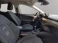 Ford Focus 1.0 Ecoboost MHEV 114kW Active Blanco - thumbnail 17
