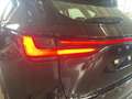 Lexus NX 300 2.5H ECVT 2WD BUSINESS MY24 Nero - thumbnail 10