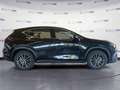 Lexus NX 300 2.5H ECVT 2WD BUSINESS MY24 Nero - thumbnail 4