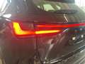 Lexus NX 300 2.5H ECVT 2WD BUSINESS MY24 Nero - thumbnail 11