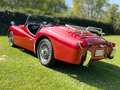 Triumph TR3 2L Rot - thumbnail 4