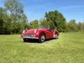 Triumph TR3 2L Rot - thumbnail 3