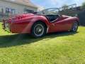 Triumph TR3 2L Rot - thumbnail 6