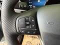 Ford Kuga ST LINE 2,5PHEV Grau - thumbnail 13