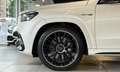 Mercedes-Benz GLS 63 AMG 4M+*Pano*HuD*StHzg*LederExklusiv*TV Wit - thumbnail 2