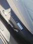 Volkswagen Golf Golf Style 1,5 TSI ACT Style Schwarz - thumbnail 16