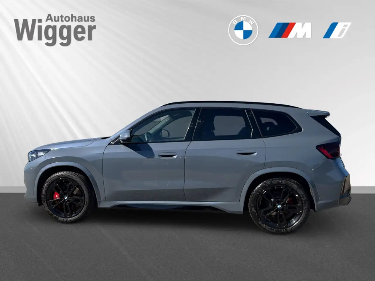 BMW iX1 30 xDrive/M-Sportpaket/HUD/AHK-klappbar/Leder 2