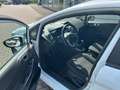 Ford Fiesta 1.0 EcoBoost Trend 2-Sitzer A/C Tempomat Wit - thumbnail 3