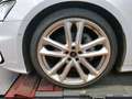 Audi A6 Avant 45 TFSI quatt. Sport/S-Line*21Zoll*PANORAMA* Weiß - thumbnail 5