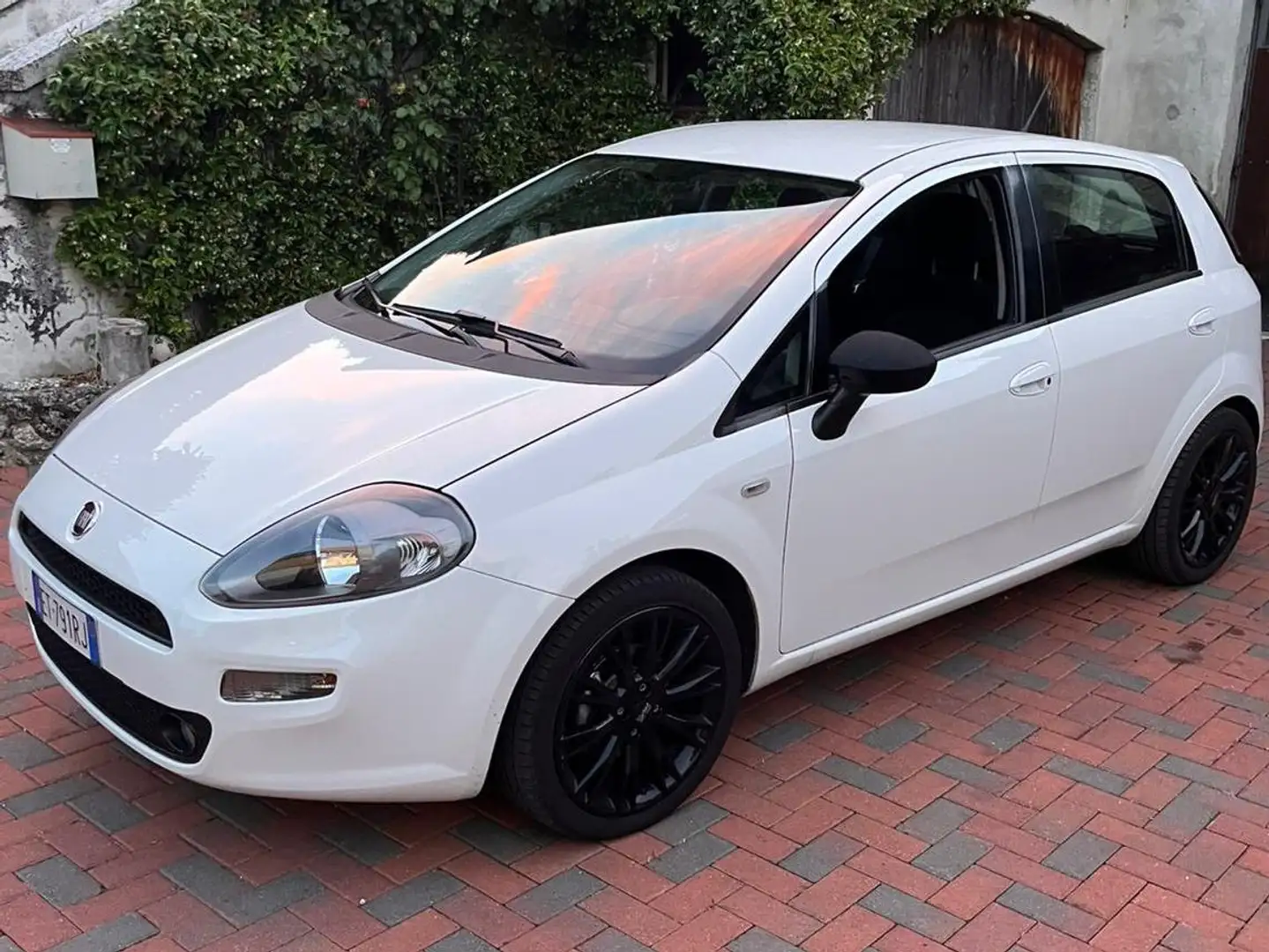 Fiat Punto 1.3 multijet 75cv Bianco - 2