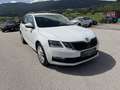 Skoda Octavia Combi 2,0 Ambition TDI 4x4 DSG Ambition *VERKAU... Weiß - thumbnail 16
