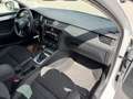 Skoda Octavia Combi 2,0 Ambition TDI 4x4 DSG Ambition *VERKAU... Weiß - thumbnail 35