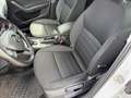 Skoda Octavia Combi 2,0 Ambition TDI 4x4 DSG Ambition *VERKAU... Weiß - thumbnail 24