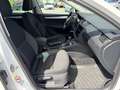 Skoda Octavia Combi 2,0 Ambition TDI 4x4 DSG Ambition *VERKAU... Weiß - thumbnail 33