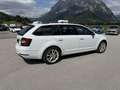 Skoda Octavia Combi 2,0 Ambition TDI 4x4 DSG Ambition *VERKAU... Weiß - thumbnail 12