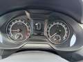 Skoda Octavia Combi 2,0 Ambition TDI 4x4 DSG Ambition *VERKAU... Weiß - thumbnail 19