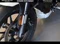 Harley-Davidson Sportster 1250 Couleur Beige - thumbnail 13