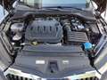 Skoda Octavia AmbitionTDI Schwarz - thumbnail 14