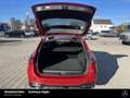 Mercedes-Benz C 300 C 300 T de AMG Night Distronic AHK HuD 360° NP89 Rot - thumbnail 17