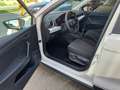 SEAT Arona Arona Reference Edition 1,0 TSI Weiß - thumbnail 10