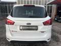 Ford B-Max B-Max 1.4 Titanium 90cv OK NEOPATENTATI Bianco - thumbnail 4