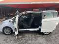 Ford B-Max B-Max 1.4 Titanium 90cv OK NEOPATENTATI Bianco - thumbnail 12