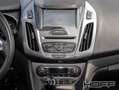 Ford Tourneo Connect 1.0 EcoBoost Titanium Navi Parkpilot Alb - thumbnail 7