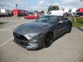 Ford Mustang Convertible GT Gris - thumbnail 1