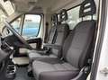 Fiat Ducato 2.0 JTD Koffer Bähr Cargolift Weiß - thumbnail 11